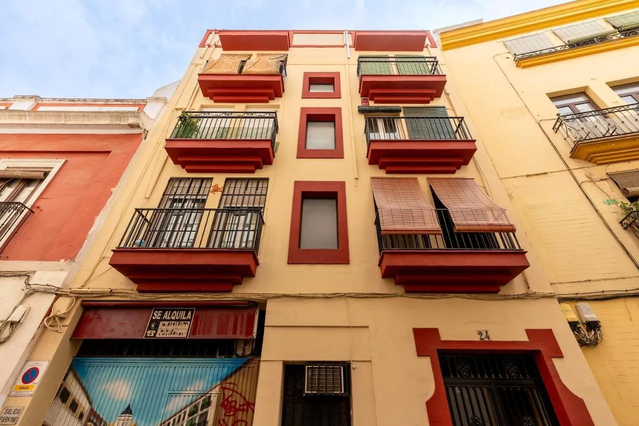 Bustos Tavera Olehousing Seville Spain