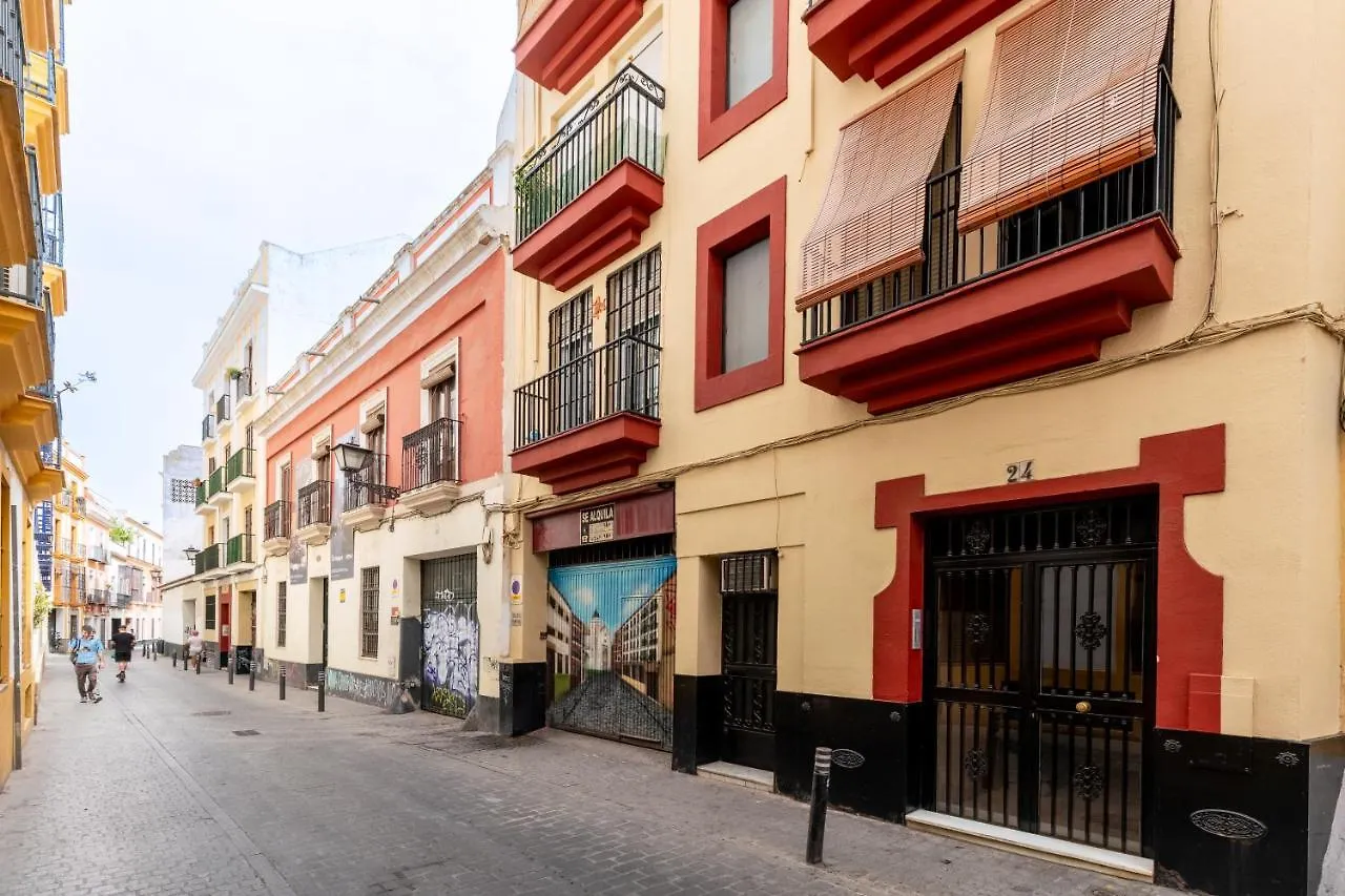 Bustos Tavera Olehousing Seville